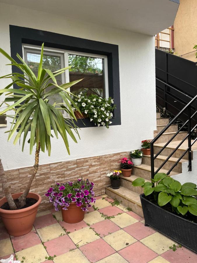 Vila Crinis Eforie Nord Extérieur photo